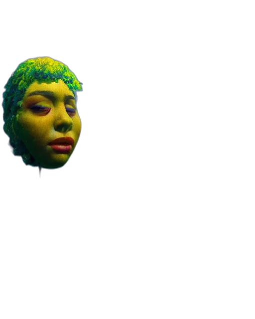 mask, face, creature, animal transparent PNG cut-out