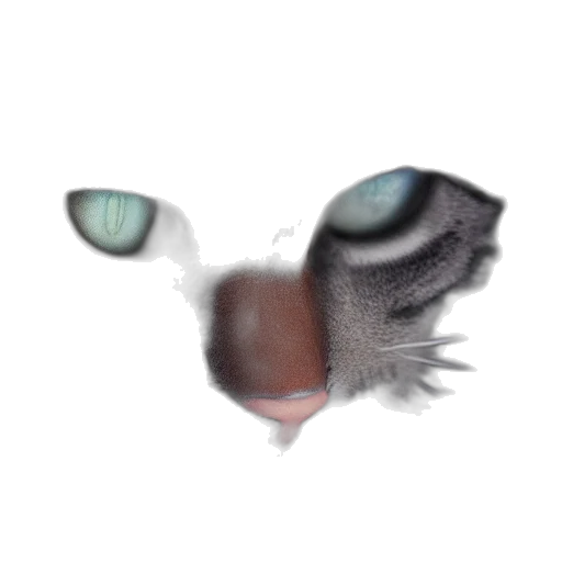 creature, mask, animal, face, photorealistic, 3d render, watercolor, concept art transparent PNG cut-out