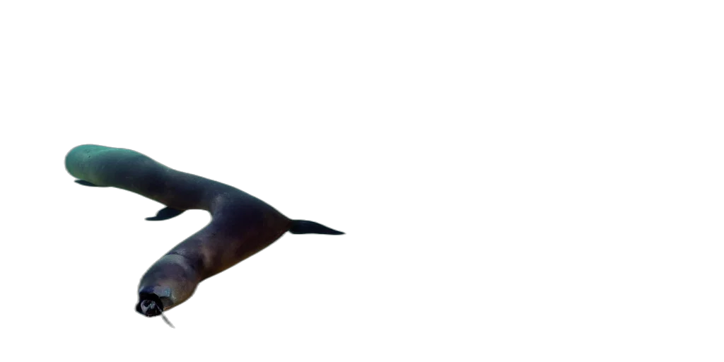 animal, umbrella, staff, creature transparent PNG cut-out
