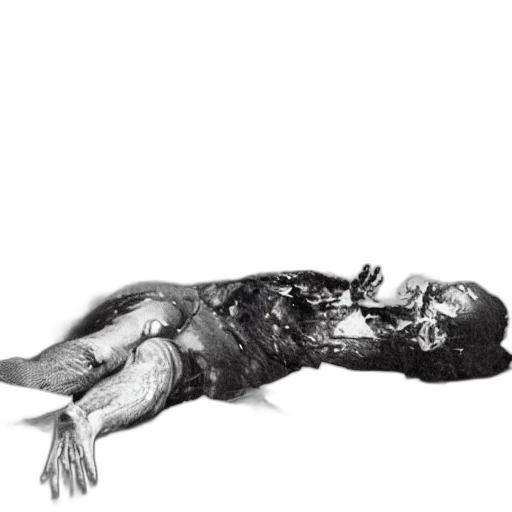 creature, animal, hair, dress transparent PNG cut-out
