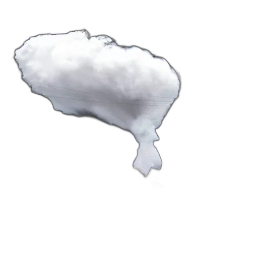 crown, hat, hair, jacket transparent PNG cut-out