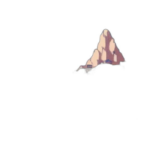 hat, crown, hair, creature transparent PNG cut-out