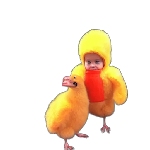 animal, hat, creature, dress transparent PNG cut-out