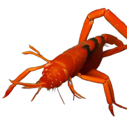 animal, creature, food, weapon transparent PNG cut-out