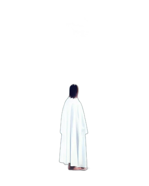 dress, jacket, hair, creature transparent PNG cut-out