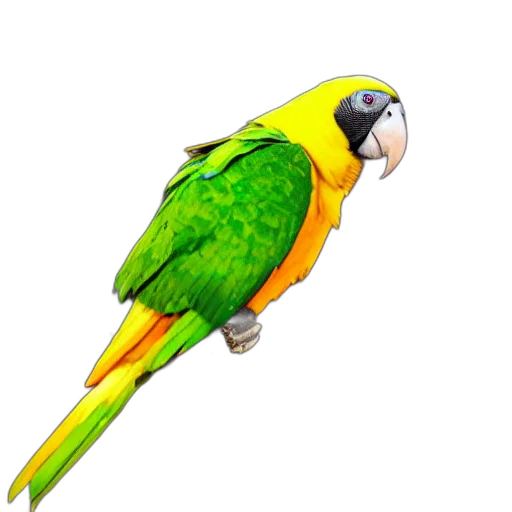 animal, jewelry, staff, creature transparent PNG cut-out