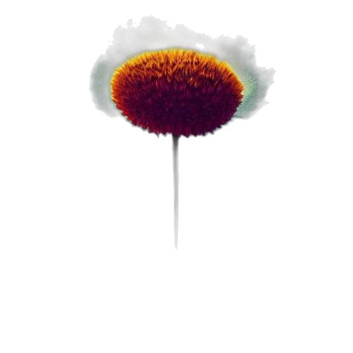 flower, umbrella, hair, staff, concept art, pixel art, photorealistic, 3d render transparent PNG cut-out