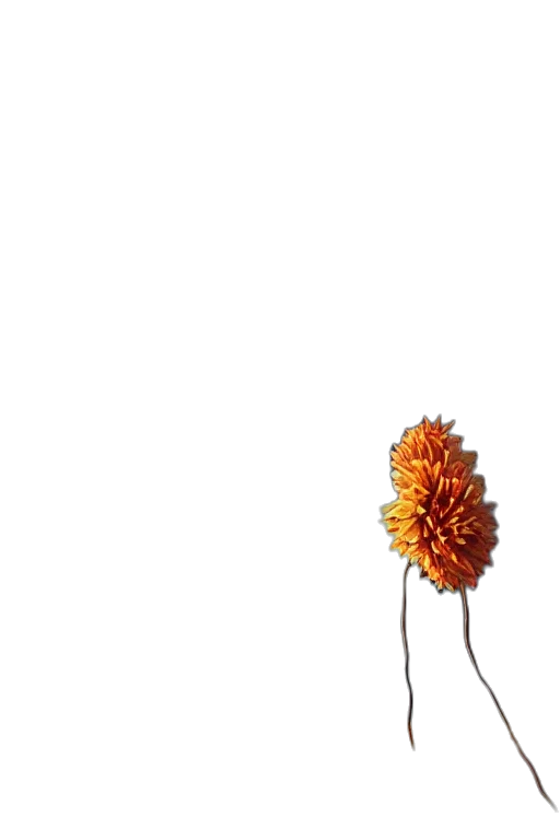 flower, hair, crown, food, 3d render, photorealistic, concept art, pixel art transparent PNG cut-out