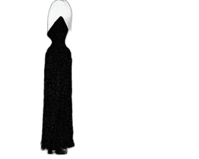 dress, staff, jewelry, hat transparent PNG cut-out