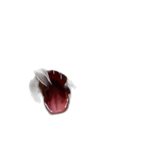 creature, animal, face, flower transparent PNG cut-out