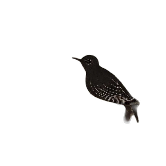 animal, staff, creature, hair, 3d render, photorealistic, pixel art, concept art transparent PNG cut-out