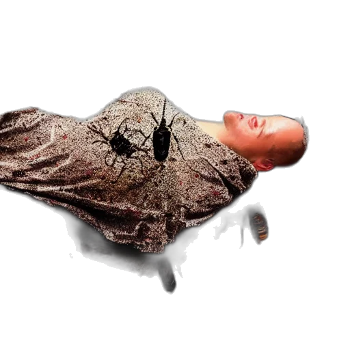 dress, shoes, mask, umbrella transparent PNG cut-out