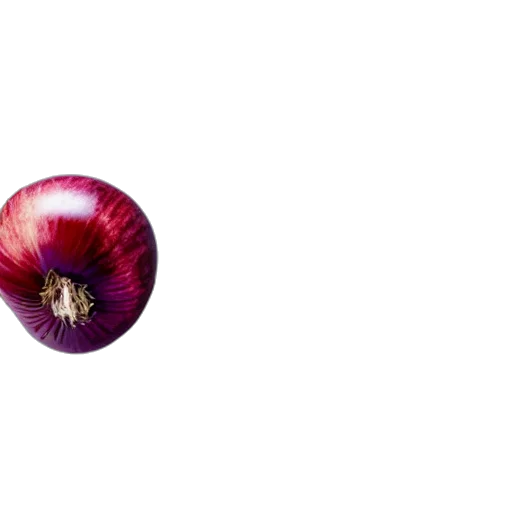 flower, hair, crown, jewelry, 3d render, photorealistic, concept art, vaporwave transparent PNG cut-out