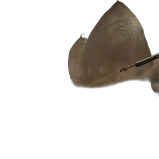 hat, weapon, umbrella, staff transparent PNG cut-out