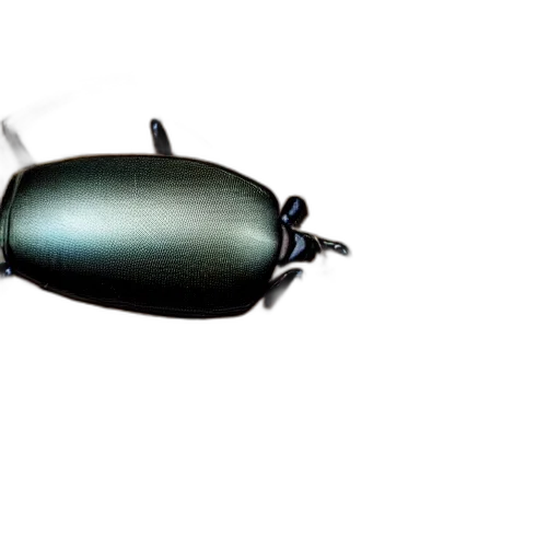 animal, robot, creature, weapon transparent PNG cut-out