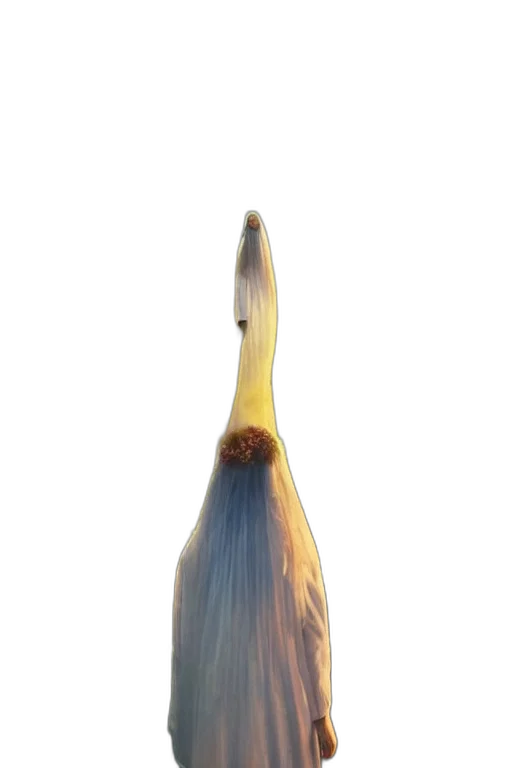 hair, staff, bottle, animal, concept art, 3d render, photorealistic, watercolor transparent PNG cut-out