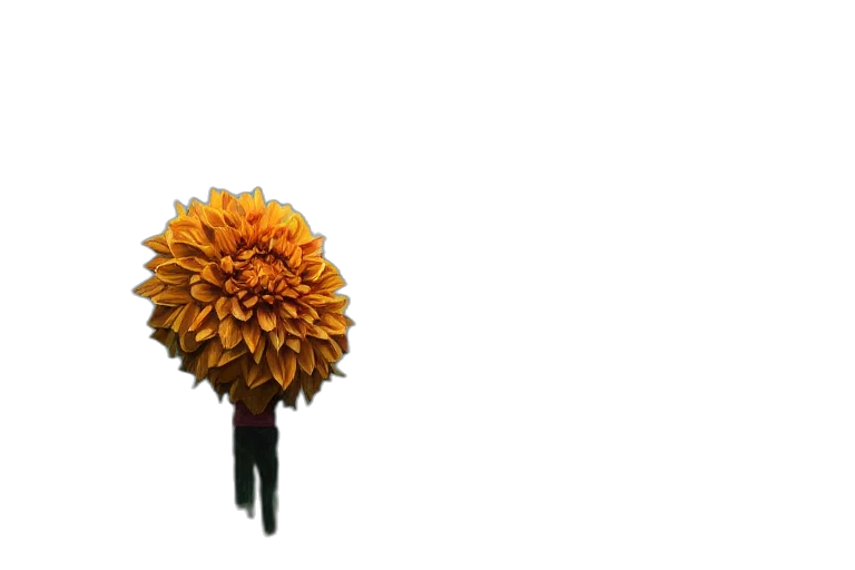 flower, umbrella, staff, crown, 3d render, photorealistic, concept art, golden transparent PNG cut-out