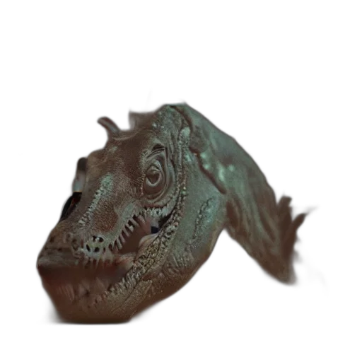 dragon, creature, mask, animal transparent PNG cut-out