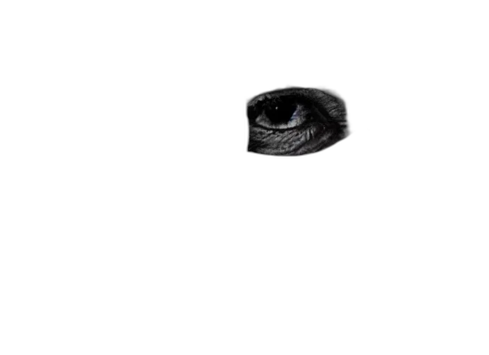 hat, shoes, mask, jewelry, photorealistic, 3d render, pixel art, dark transparent PNG cut-out