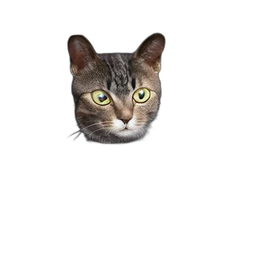 animal, face, creature, hat, photorealistic, pixel art, 3d render, concept art transparent PNG cut-out