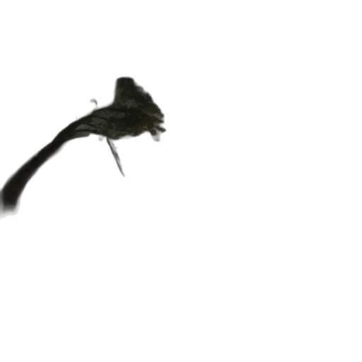 dragon, animal, staff, creature, photorealistic, concept art, 3d render, fog transparent PNG cut-out