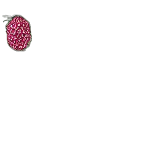 jewelry, crown, flower, food, photorealistic, strawberries, pineapple, grapes transparent PNG cut-out