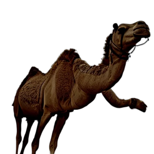 animal, creature, staff, dragon transparent PNG cut-out
