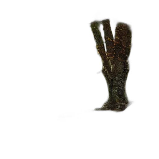shoes, staff, weapon, crown transparent PNG cut-out