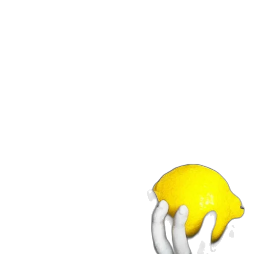 hat, animal, creature, umbrella, 3d render, concept art, pixel art, photorealistic transparent PNG cut-out