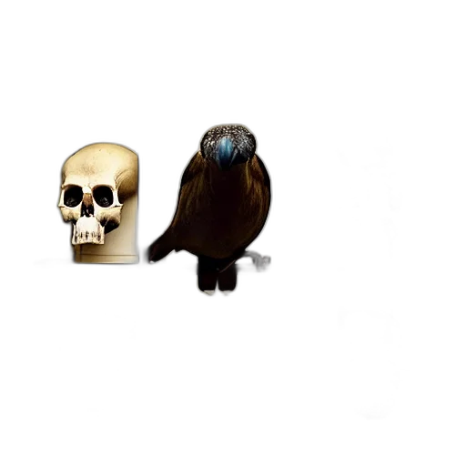 animal, mask, creature, jewelry transparent PNG cut-out