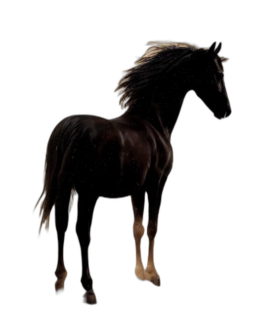 animal, hair, creature, dragon transparent PNG cut-out