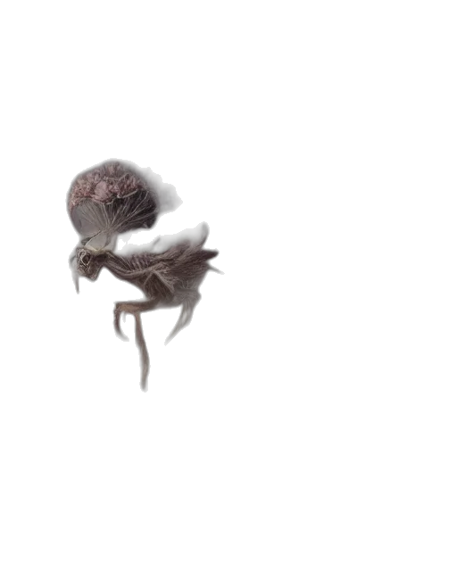 creature, animal, hair, flower transparent PNG cut-out