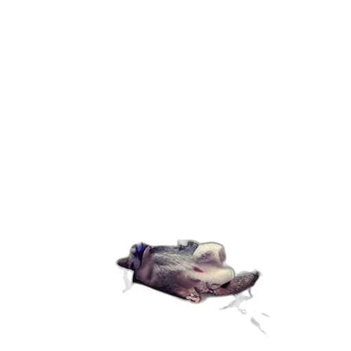 weapon, car, robot, shoes transparent PNG cut-out