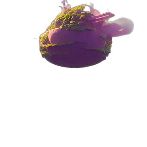 crown, flower, hat, jewelry transparent PNG cut-out