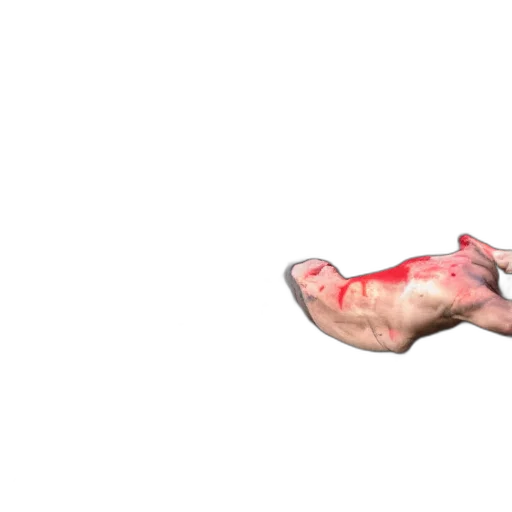 shoes, animal, creature, weapon, 3d render, photorealistic, concept art, watercolor transparent PNG cut-out