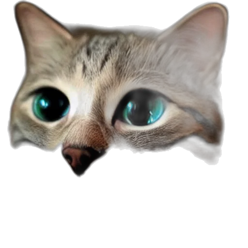 animal, face, creature, mask transparent PNG cut-out