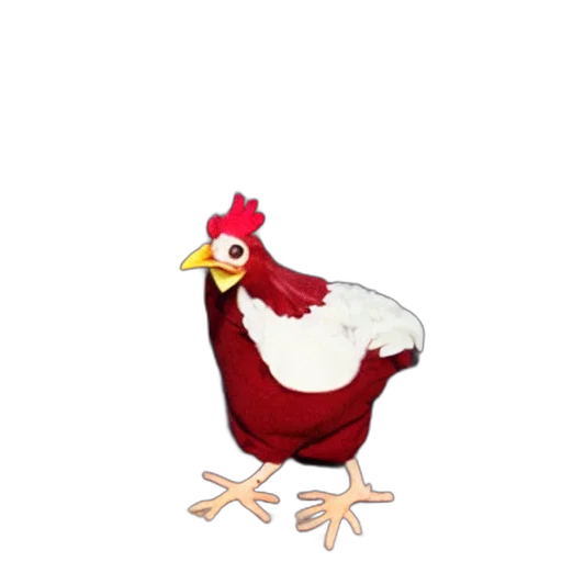 animal, food, creature, hat transparent PNG cut-out