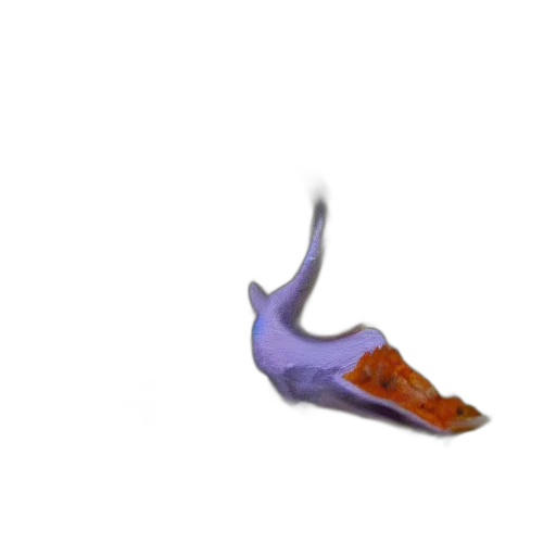 shoes, weapon, dragon, hat transparent PNG cut-out
