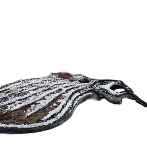 hat, jewelry, shoes, hair, photorealistic, 3d render, snow, landscape transparent PNG cut-out
