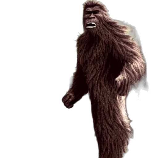 creature, animal, staff, hair transparent PNG cut-out