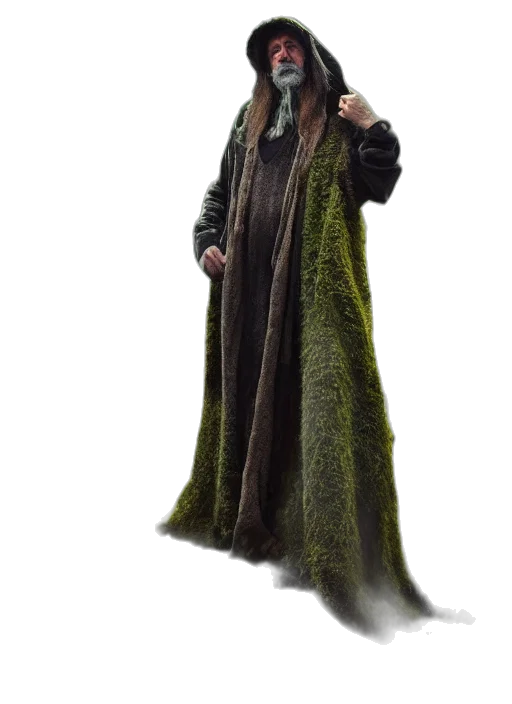 jacket, staff, dress, dragon transparent PNG cut-out