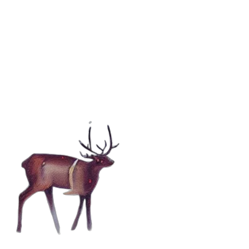 animal, creature, crown, furniture transparent PNG cut-out