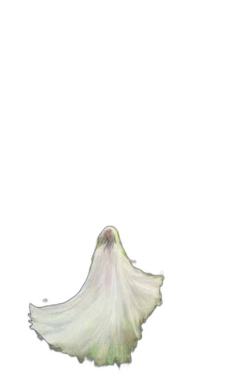 dress, crown, mask, staff transparent PNG cut-out
