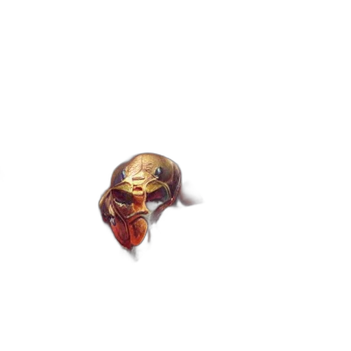 creature, mask, animal, face transparent PNG cut-out