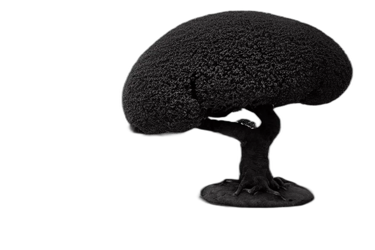 hat, crown, hair, tree, 3d render, photorealistic, concept art, award transparent PNG cut-out