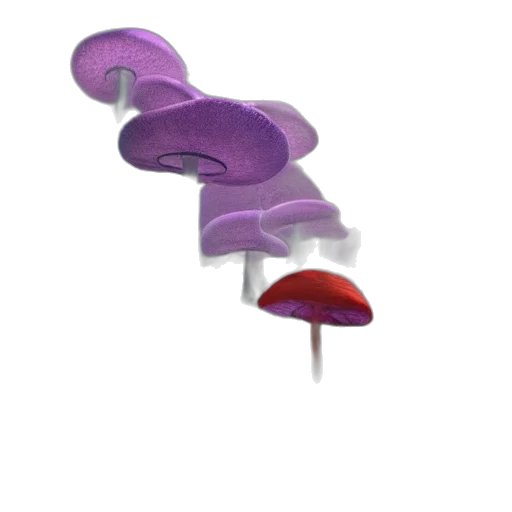 umbrella, hat, jewelry, crown transparent PNG cut-out