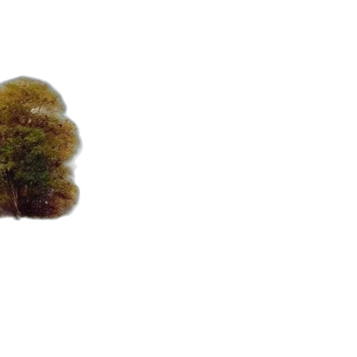 tree, crown, hat, hair, 3d render, photorealistic, concept art, watercolor transparent PNG cut-out