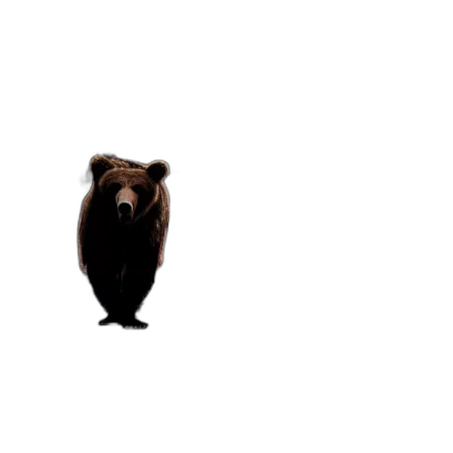 animal, creature, jacket, staff transparent PNG cut-out