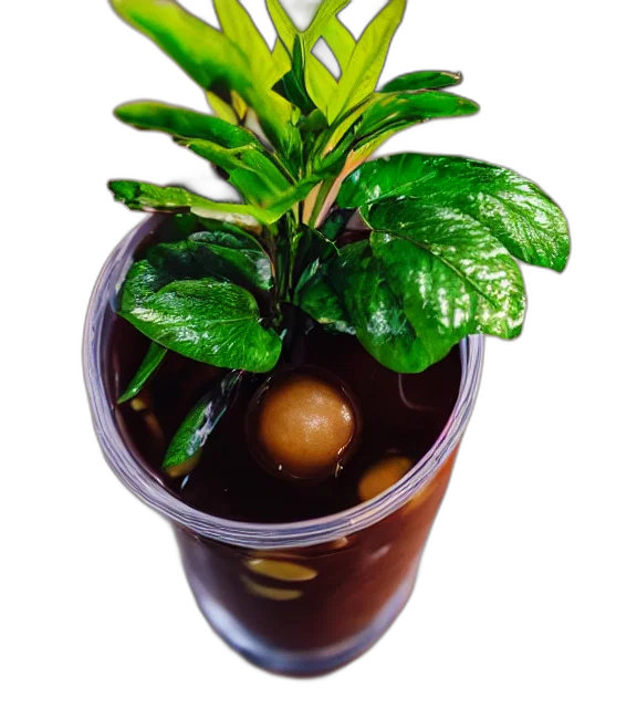 food, crown, photorealistic, 3d render, photo, close, glass, boba transparent PNG cut-out