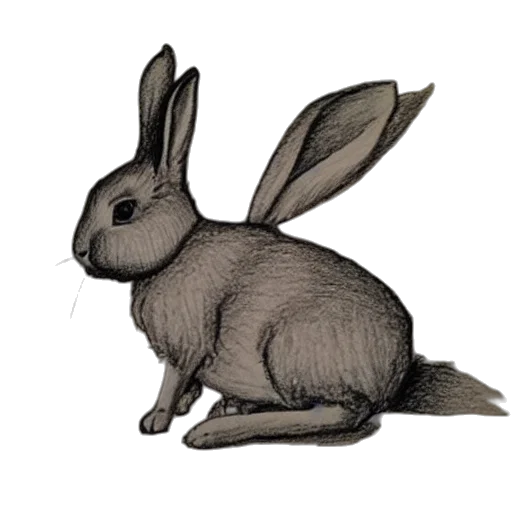 animal, creature, staff, pencil sketch, concept art, photorealistic, watercolor, drawing transparent PNG cut-out